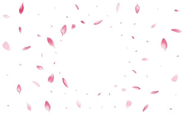 Fondo bianco di vettore del petalo di loto rosa. sfondo di petali di pesca fiore bianco. design realistico di petali di mela. modello di petalo di ciliegia 3d.