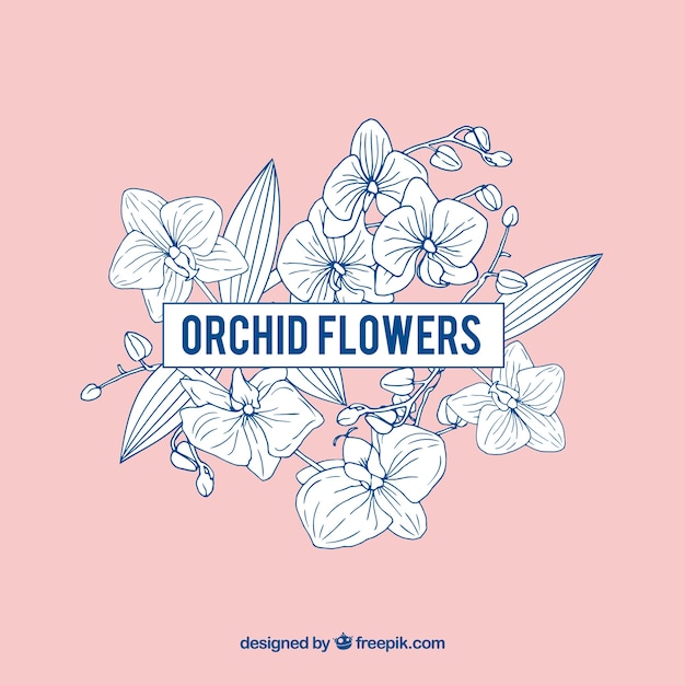 Rosa fiori di orchidea cornice
