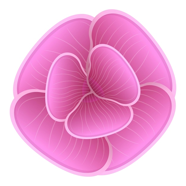 Vector pink orchid icon cartoon of pink orchid vector icon for web design isolated on white background