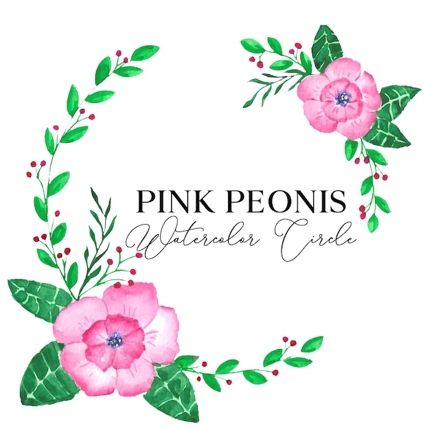 Illustrazione degli elementi dell'acquerello del fiore delle peonie rosa