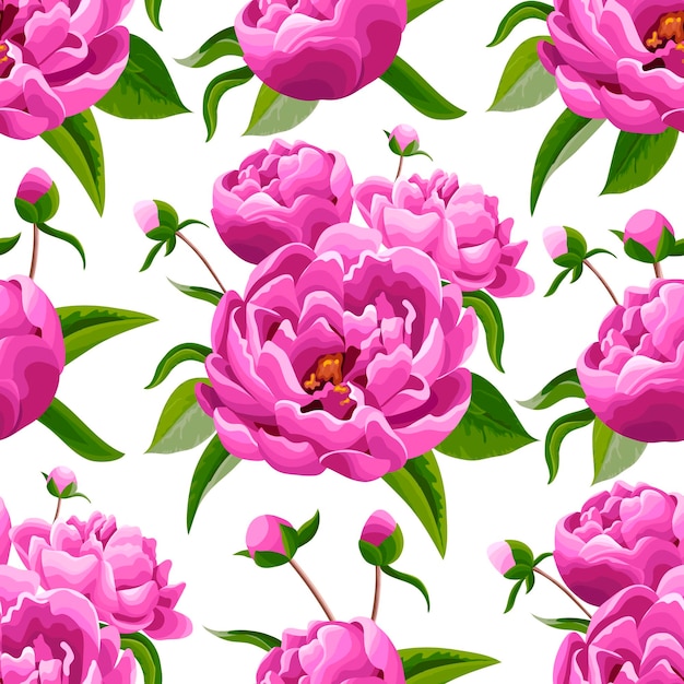 Pink peoniy flowers background