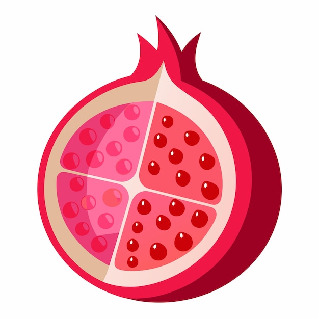 pink and red pomegranate vector on isolated background