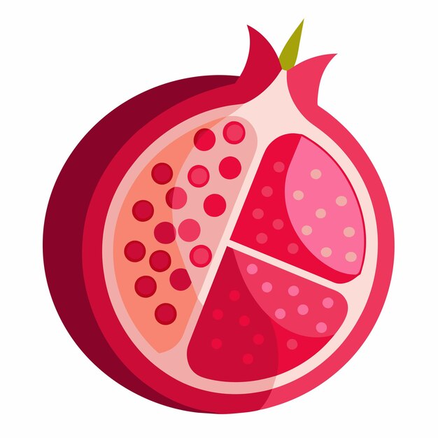 pink and red pomegranate vector on isolated background