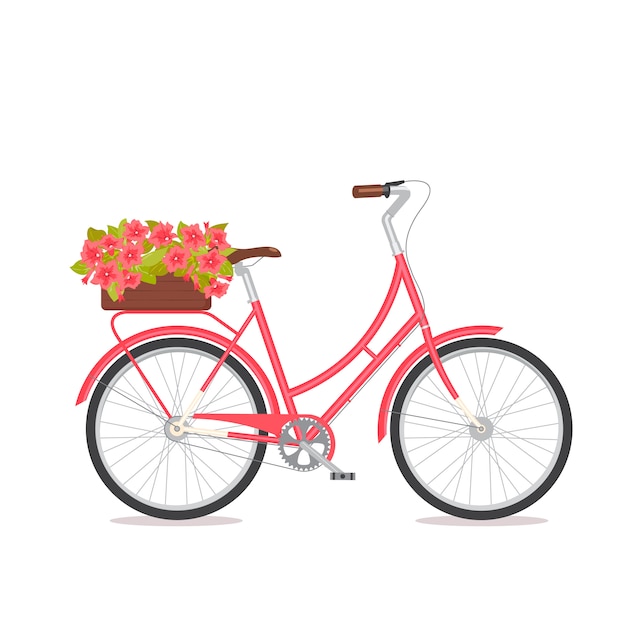 Vector pink retro bicycle with bouquet in floral box on trunk.