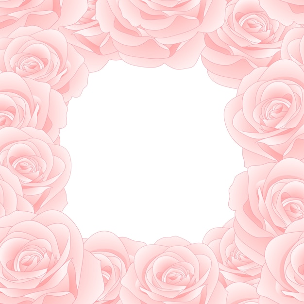 Pink rose border