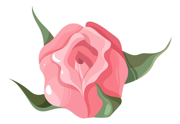 Vettore elemento decorativo rosa rosa botanica romantica floreale