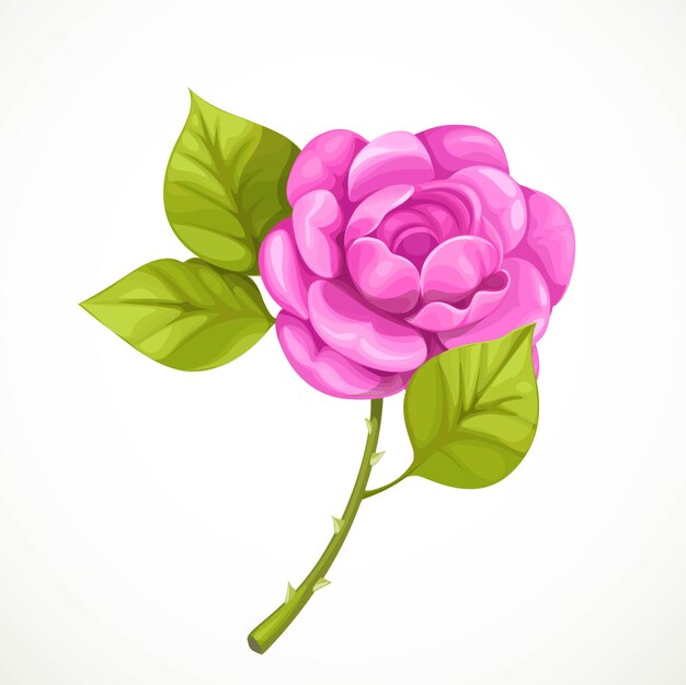 Vector pink rose isolated on a white background