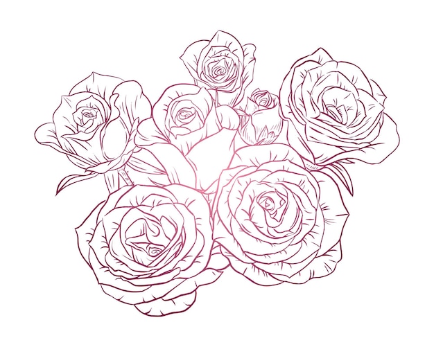 Pink rose. Line art poster for design and print