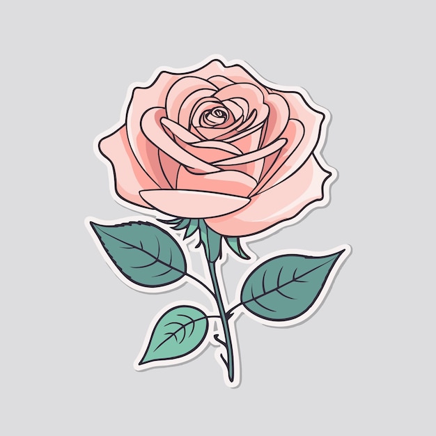 Vector pink rose sticker design clipart illustration