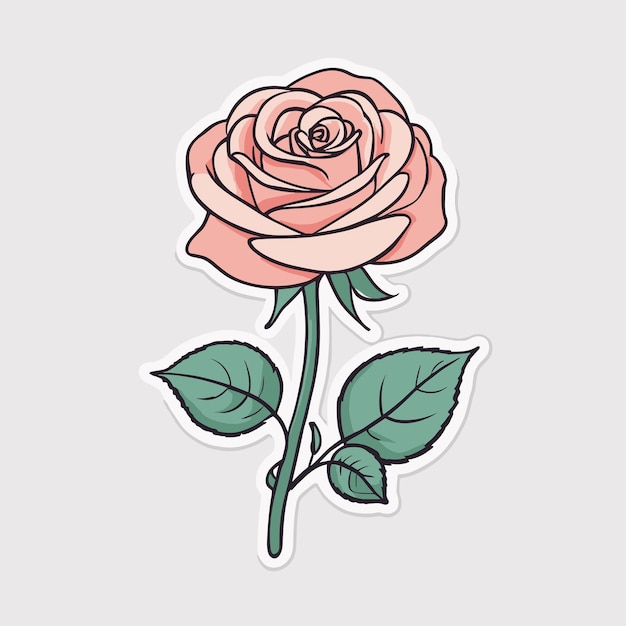 Vector pink rose sticker design clipart illustration