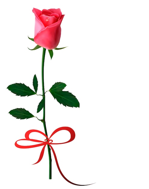 Red bow with roses attached on black background png download