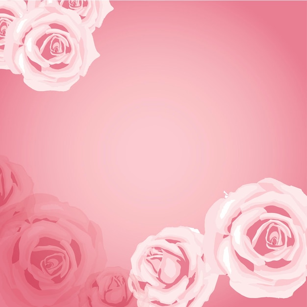 Vector pink roses background illustration