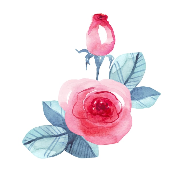 Pink roses bouquet Vector