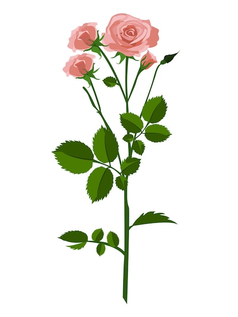 Elemento di design dell'illustrazione di vettore del mazzo di fiori delle rose rosa