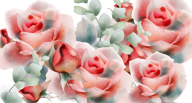 Vector pink roses watercolor