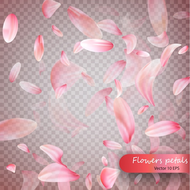 Pink sakura falling petals background.