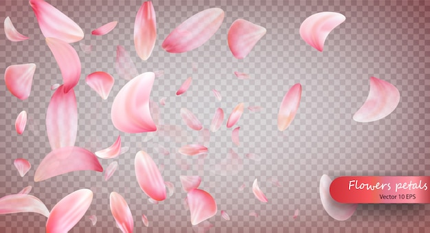 Vector pink sakura falling petals background.