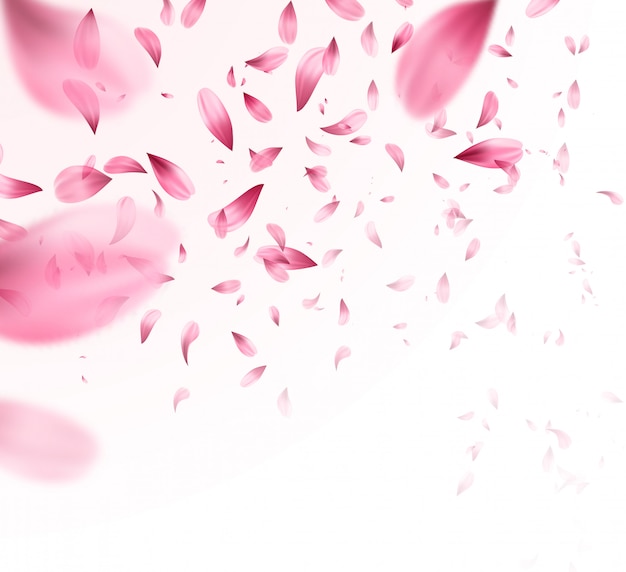 Vector pink sakura falling petals background.