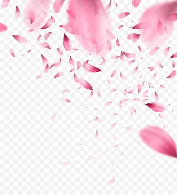 Vector pink sakura falling petals background.