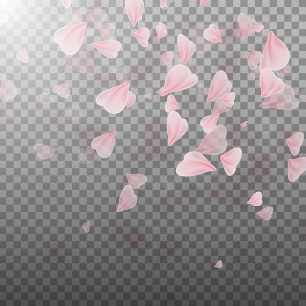 Розовая сакура с падающими лепестками