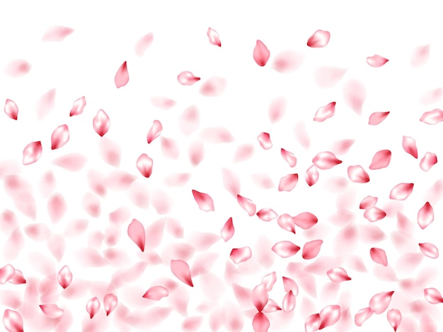 Pink sakura flower flying petals isolated on white vector backgr