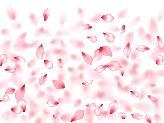 Vector pink sakura flower flying petals isolated on white vector backgr