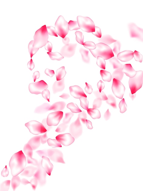 Pink sakura petals confetti flying and falling