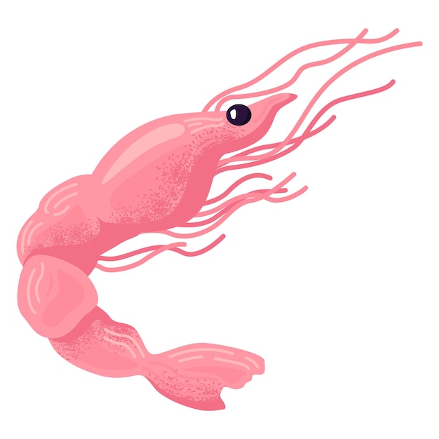 Pink shrimp cartoon character swimming underwater Cute marine life seafood theme vector