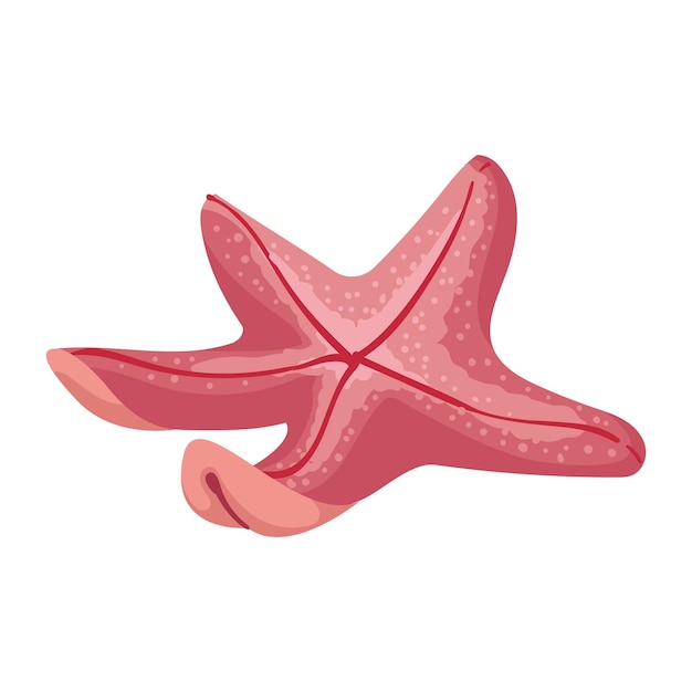 Vector pink starfish sea life illustration isolated