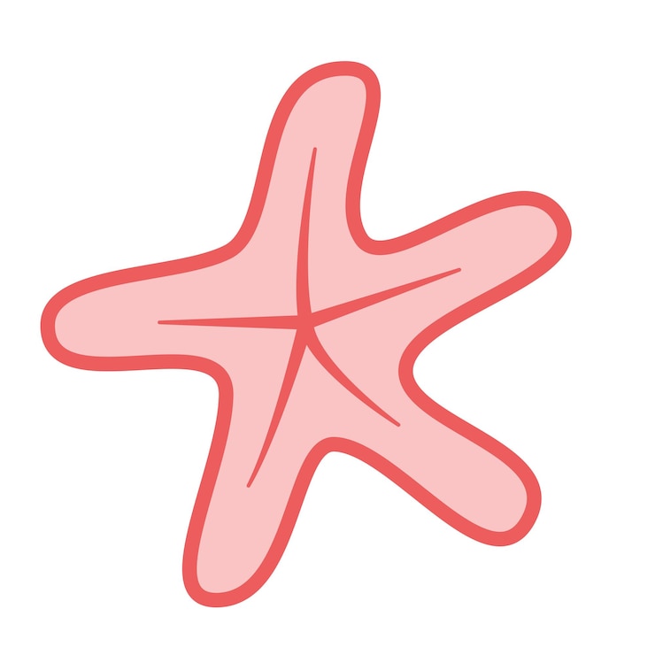 Vector 핑크 불가사리