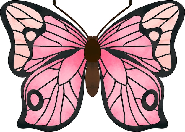 Vector pink symmetrical butterfly illustration