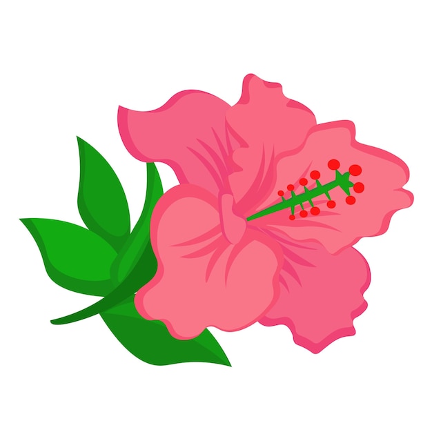 Vector pink tropical flower fresh clipart vector