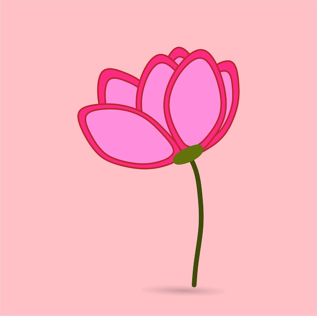 Pink Tulipa alberti Regel illustration, for your romantic flower
