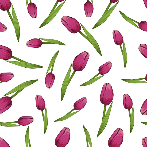 Pink tulips Seamless pattern Multicolored image Without background Vector illustration