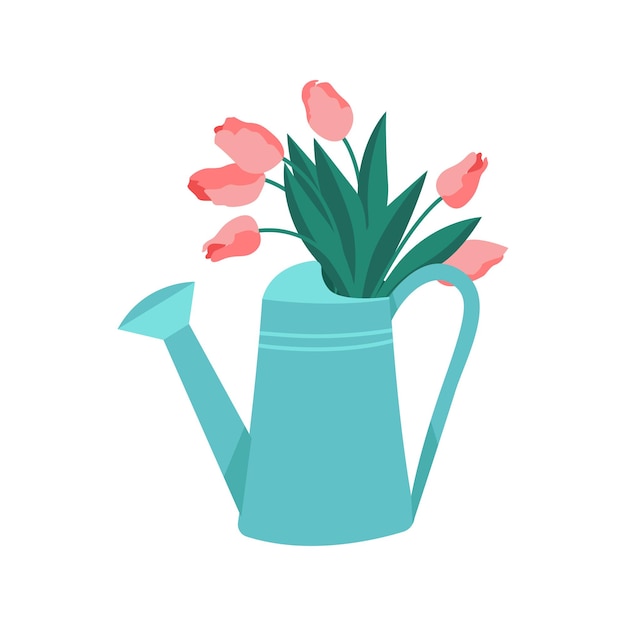 Pink tulips in a watering can Bouquet of spring flowers Vector illustration