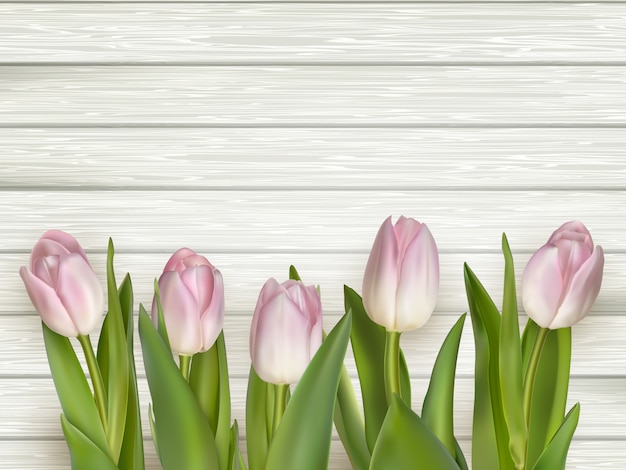 Pink tulips over white wood.