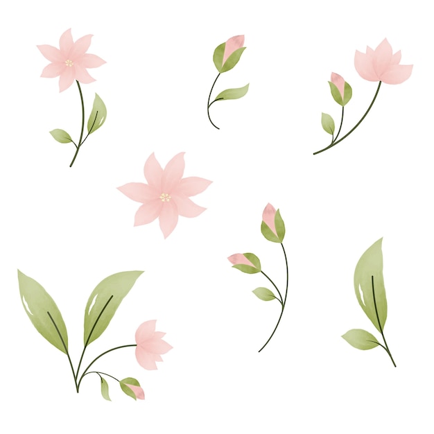 벡터 분홍색 수채화 꽃 식물 컬렉션