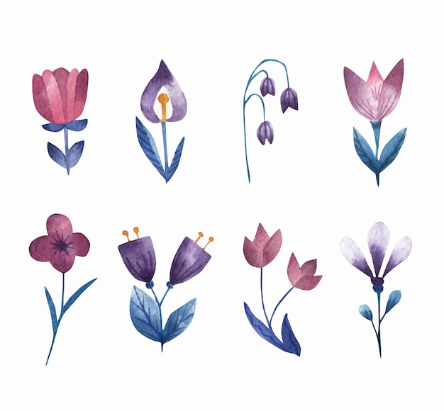 Pink watercolor flowers. Vector set