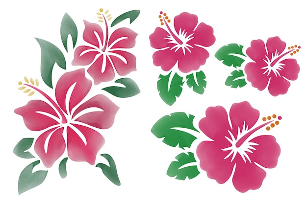 Vector pink watercolor hibiscus flower with green leaves