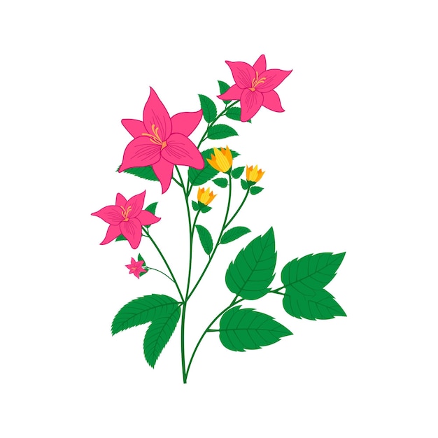 ピンクの黄色の花と白い背景のイラストのベクトルを残します