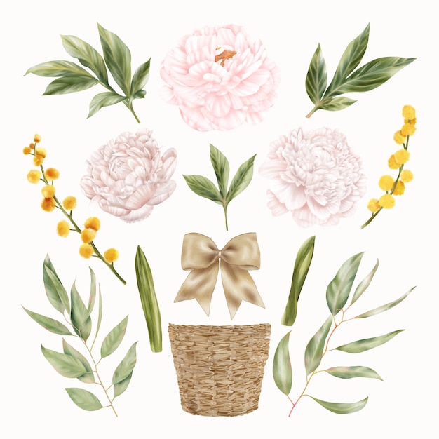 Pink And Yellow Flowers, Peony And Spring Mimosa Flowers With Green Leaves, Straw Pot, Ribbon, Bow