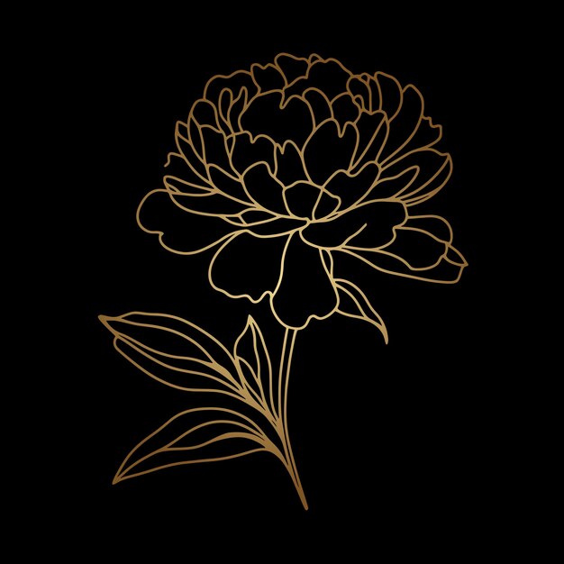 Vector pioen bloemen schets minimalistische gouden elegante lijn wilde bloemen voor achtergrond abstracte botanische