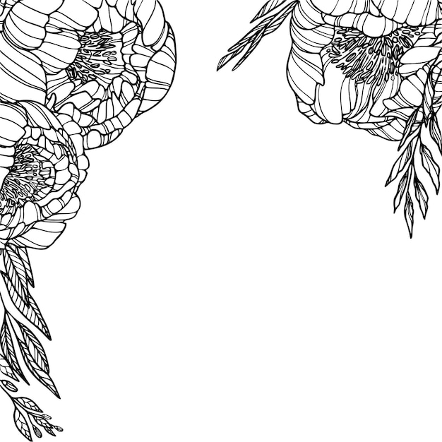 Pioenrozenkaart Knoppen en bladeren op witte achtergrond Vectorillustratie