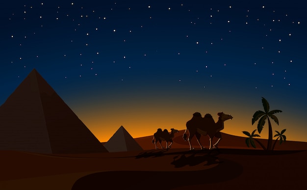 Piramide en kamelen in Desert night Scene