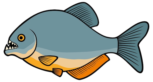 Vector piranha fish