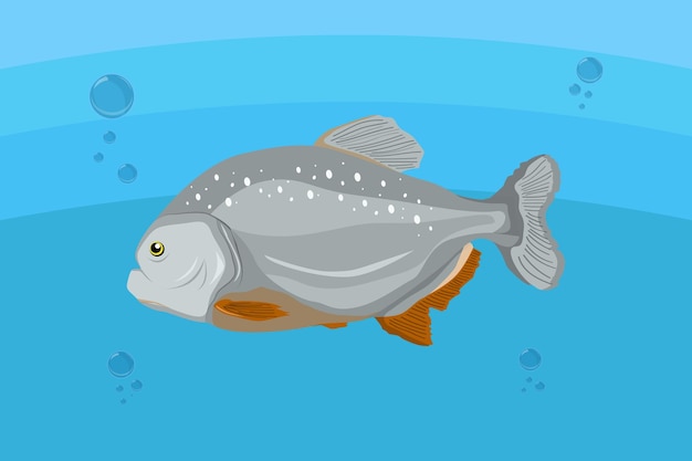 Piranha vis vector