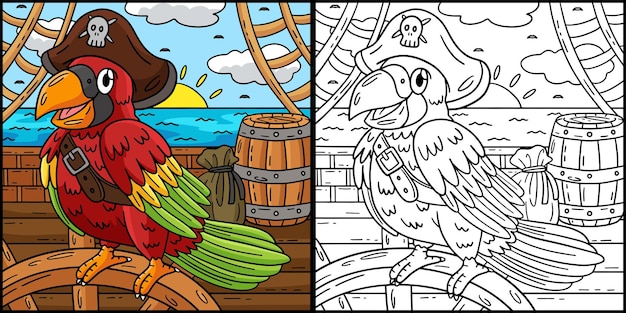 Vector pirate parrot coloring page colored illustration