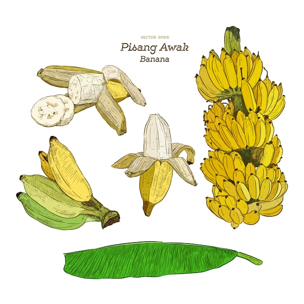 Pisang Awak-banaan