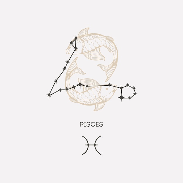 Vector pisces constellation vector illustration