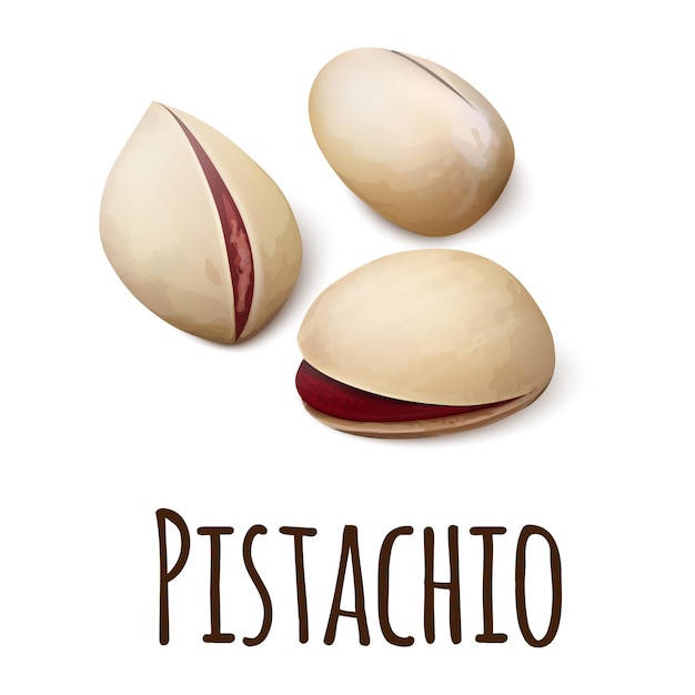 Pistache pictogram Realistische afbeelding van pistache vector pictogram voor webdesign geïsoleerd op een witte achtergrond